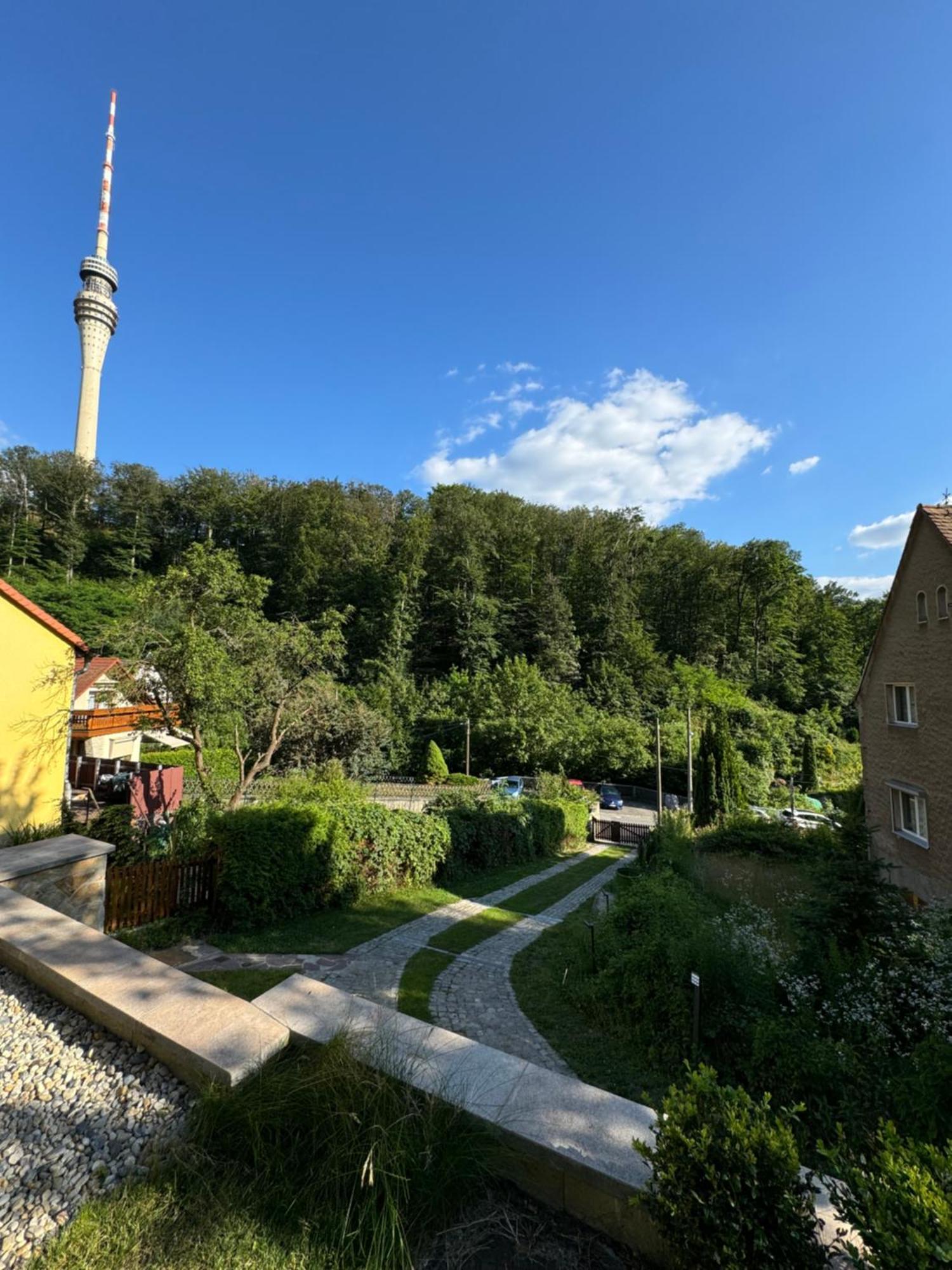 Apartment Wachwitzgrund *