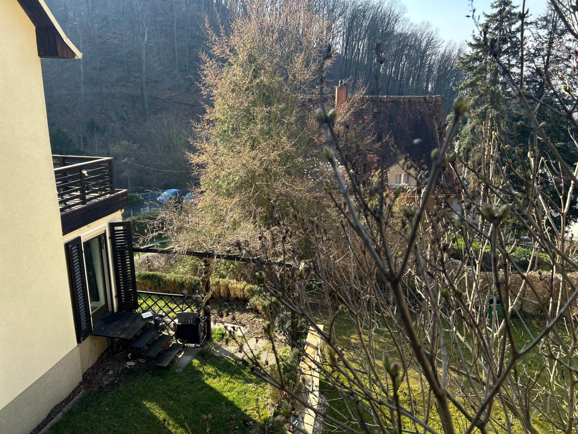 Ferienhaus Wachwitzgrund * Dresde